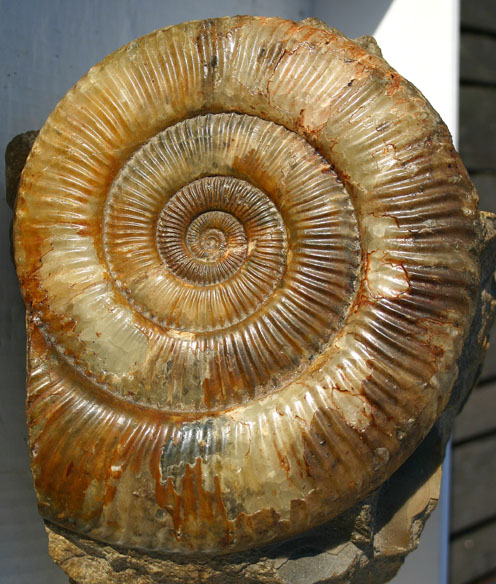 ISASITE CHAUX 001.JPG